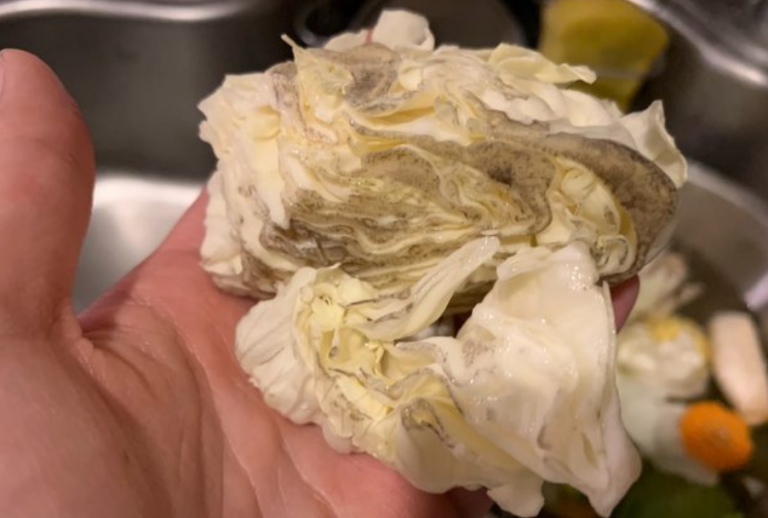 cabbage-spoiled-symptoms