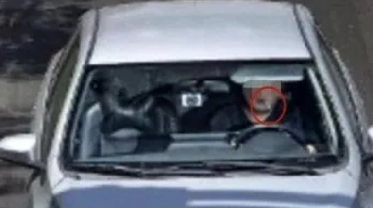 driving-dental-floss-pick-saman