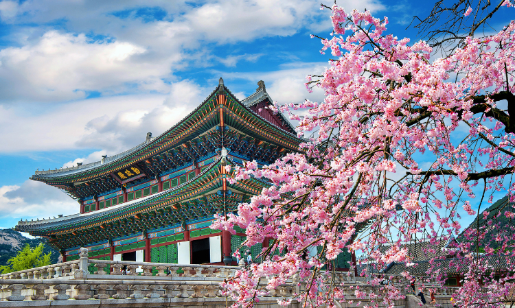 one-country-people-do-not-want-visit-again