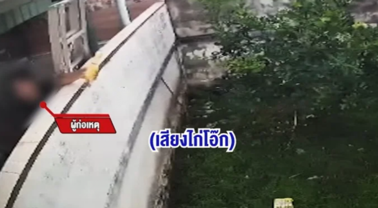 screaming-ruuber-chicken-neighbour-