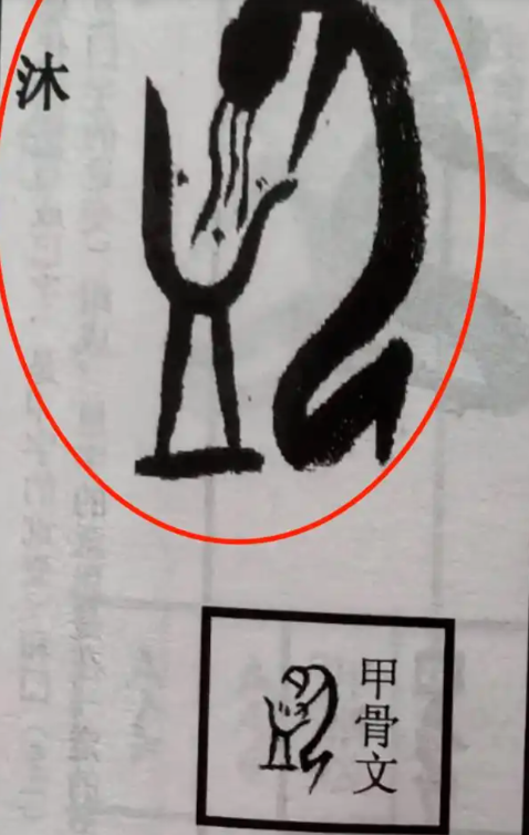 what-does-this-Oracle-mean
