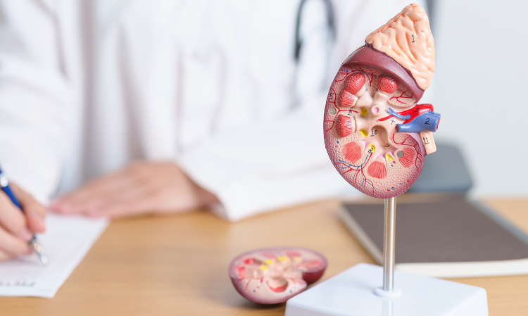 Apply-ointment-Kidney-dialysis-