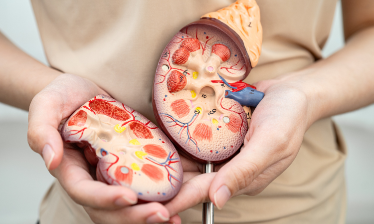 everyday-2-sweetened-drinks-dialysis