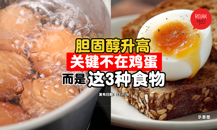 public-health-malaysia-goods-of-eating-egg-yolk