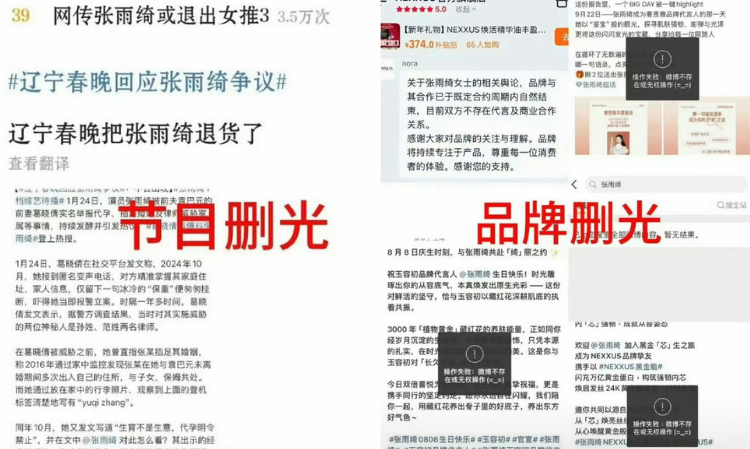 ZhangYuqi-accused-of-illegal-surrogacy-faces-industry-ban