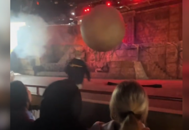 DisneyWorld-cast-member-hurt-stopping-180kg-boulder