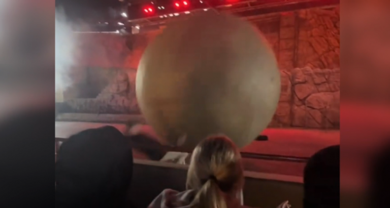 DisneyWorld-cast-member-hurt-stopping-180kg-boulder