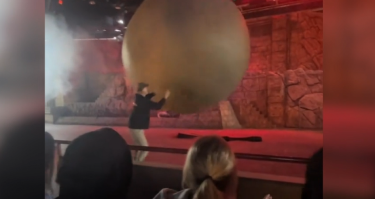 DisneyWorld-cast-member-hurt-stopping-180kg-boulder