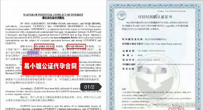 ZhangYuqi-accused-of-illegal-surrogacy-faces-industry-ban