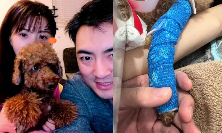 youtuber-laogao-xiaomi-divorce-rumours