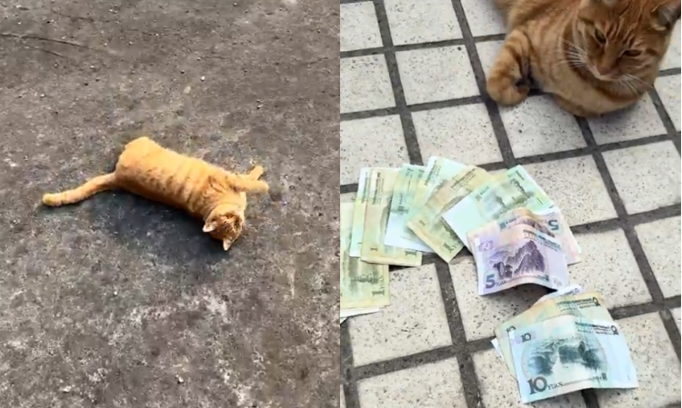 After-praying-caishen-cash-appeared-in-the-house