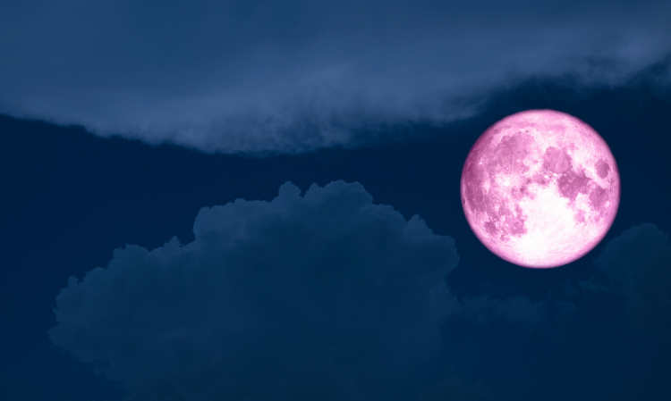 2026-pink-moon-0401