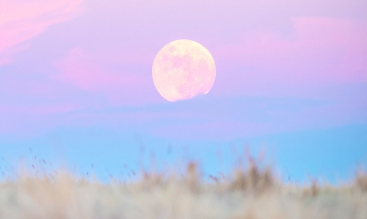 2026-pink-moon-0401