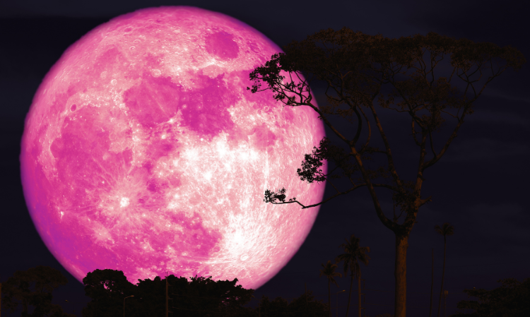 2026-pink-moon-0401