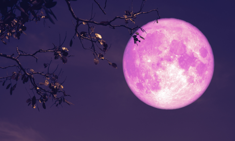 2026-pink-moon-0401