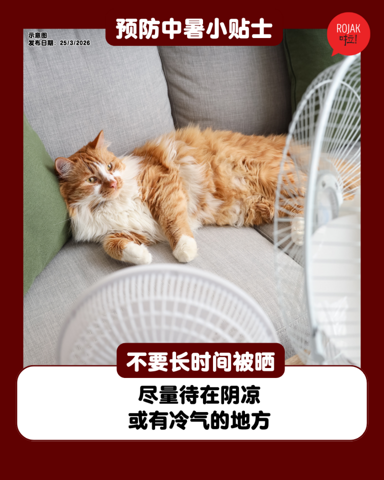 ways-to-avoid-heat-stroke