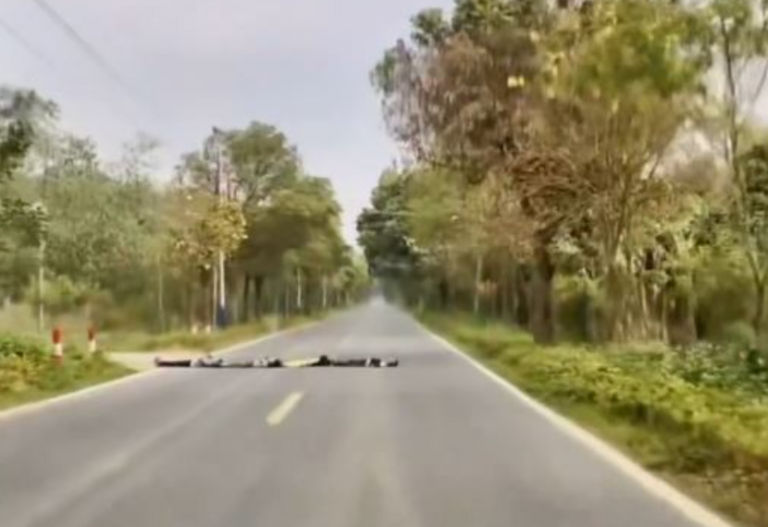 china-Lying-on-the-road-dangerous