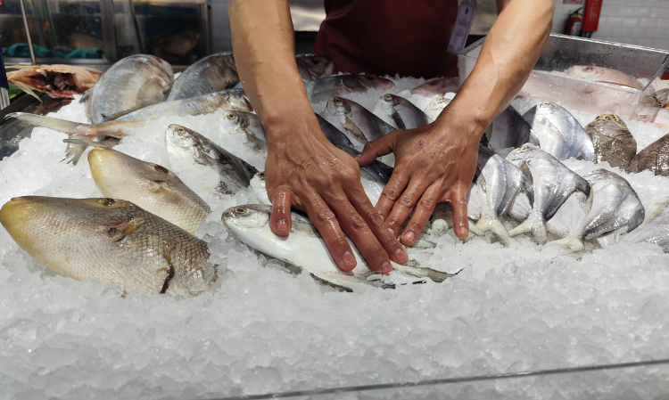 sell-fish-earn-money-dating-rejected
