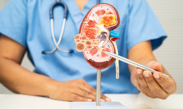Foamy-urine-and-undergoing-dialysis-