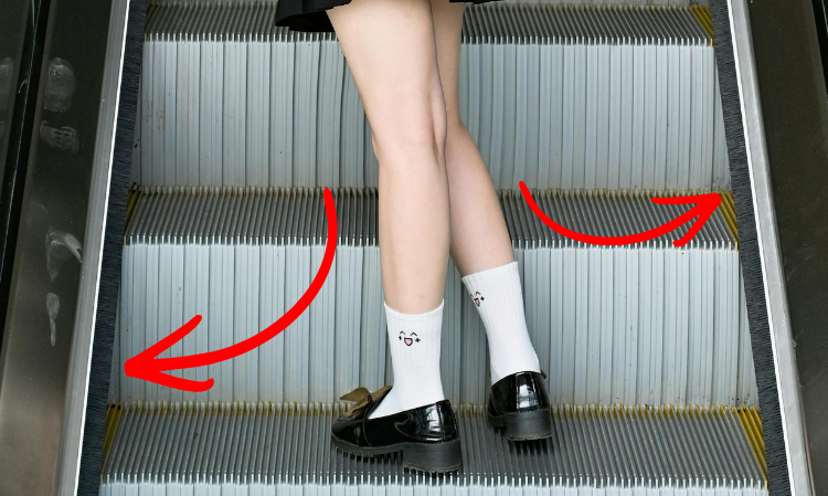 function-of-skirt-deflectors-escalator