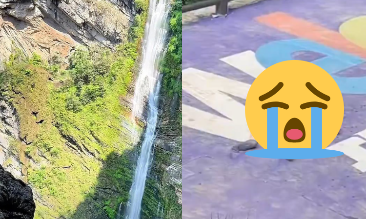 china-waterfall-swing-rope-accident-part5-