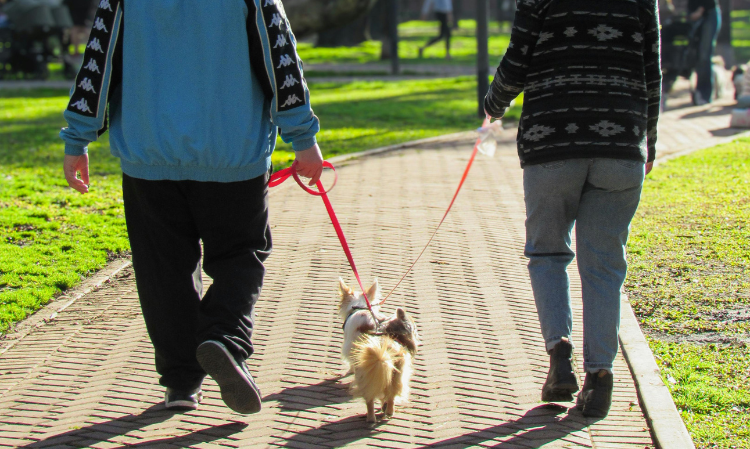 walking-how-to-burn-fat