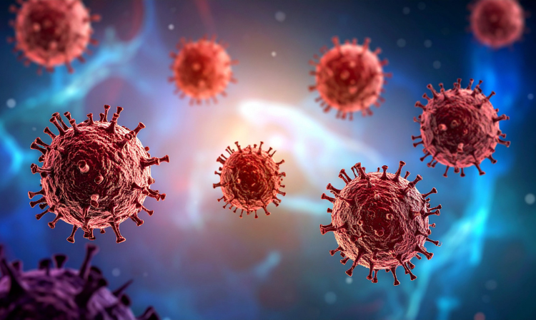 taiwan-new-case-Hantavirus