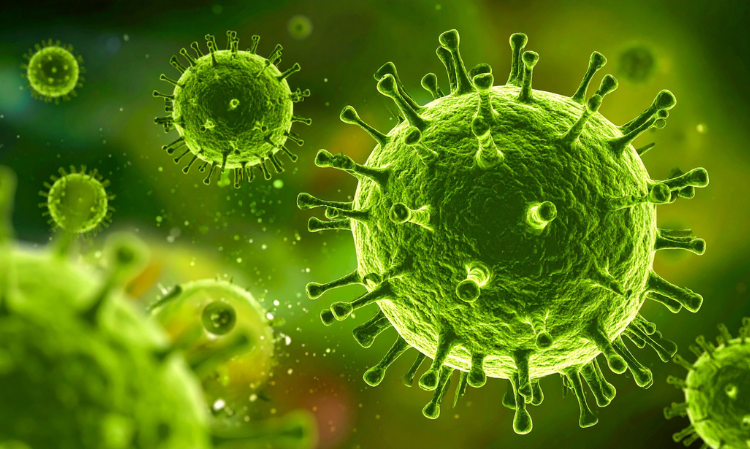 congo-more-than-200-ebola-deaths