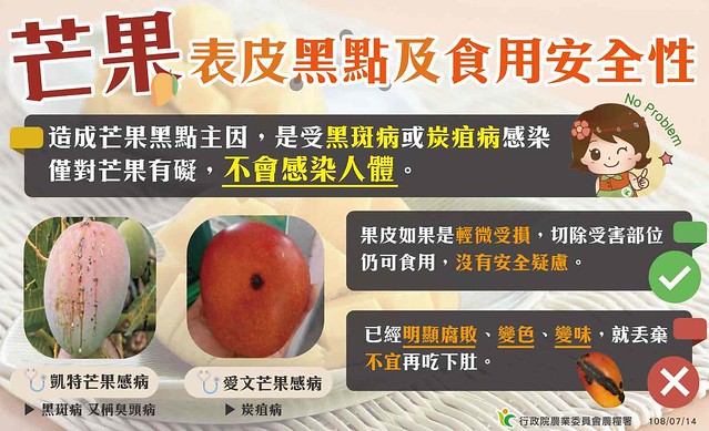 mango-black-spot-can-eat-or-not