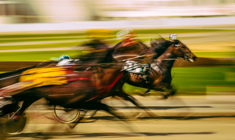 62years-old-note-regarding-horserace