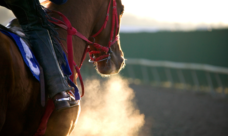 62years-old-note-regarding-horserace-