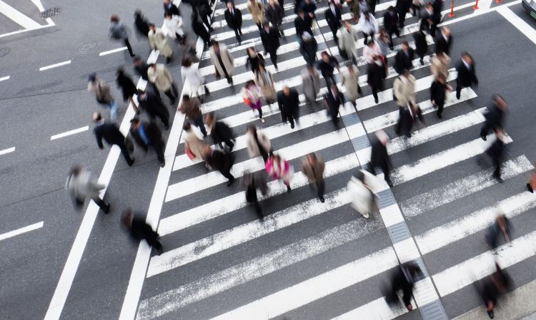 difference-between-white-yellow-zebra-crossing