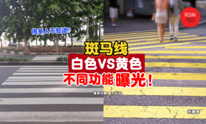 difference-between-white-yellow-zebra-crossing