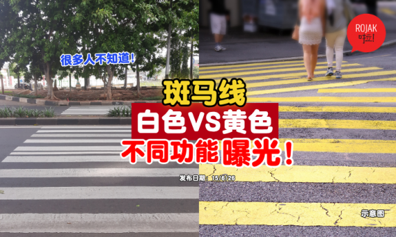 difference-between-white-yellow-zebra-crossing