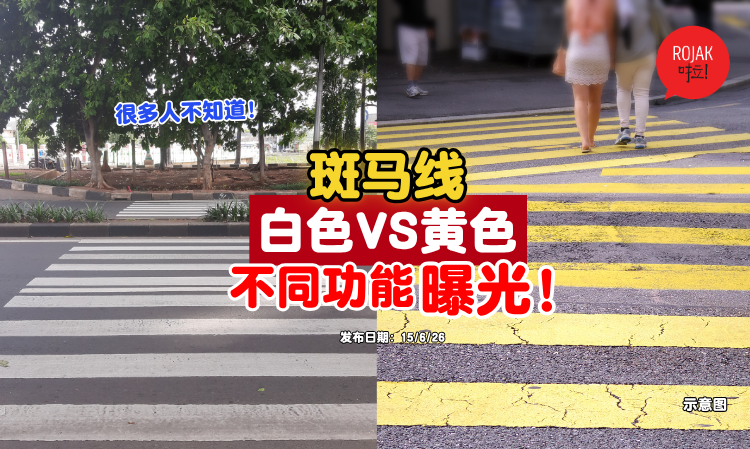 difference-between-white-yellow-zebra-crossing