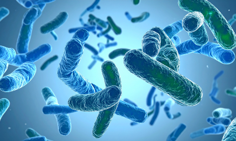 things-to-know-about-pneumoni
