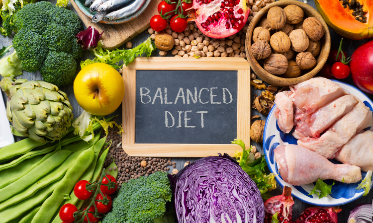 one-day-eat-one-meal-