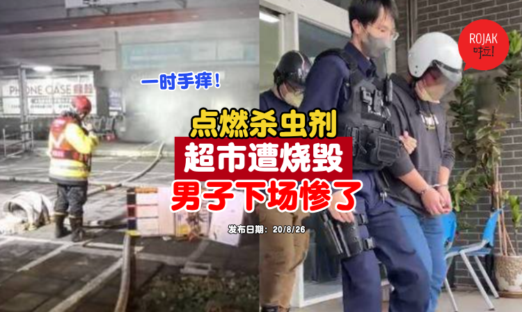 Ant-Insecticide-Supermarket-Fire-Damages