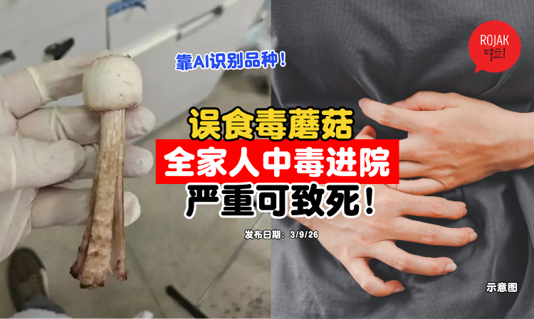 mushroom-poisonous-food-poisoning-