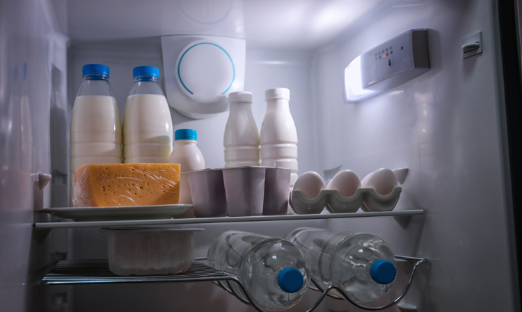the-besplace-to-put-milk-refrigerator-