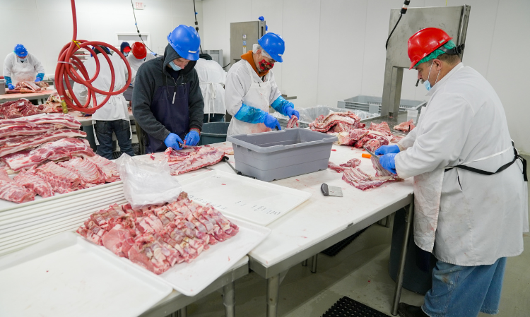 Pigs-of-Unknown-Cause-of-Death-to-Make-Dried-Meat