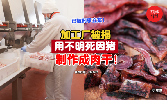 Pigs-of-Unknown-Cause-of-Death-to-Make-Dried-Meat