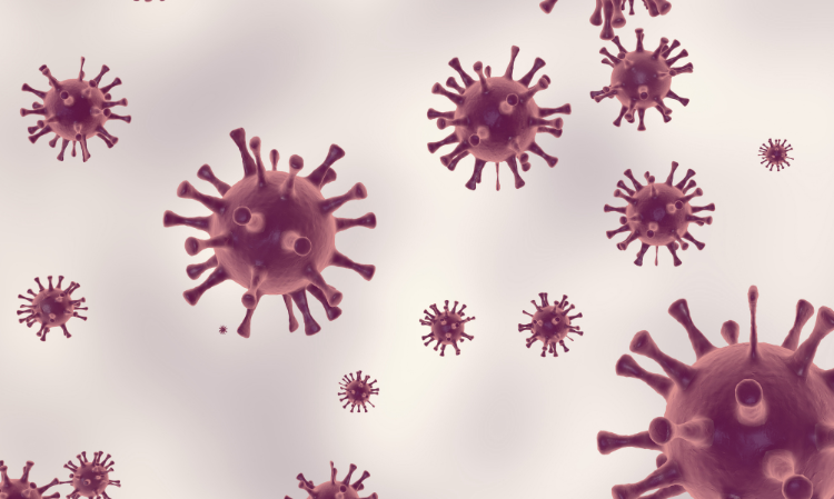 Congo-Ebola-cause-lots-of-people-die-