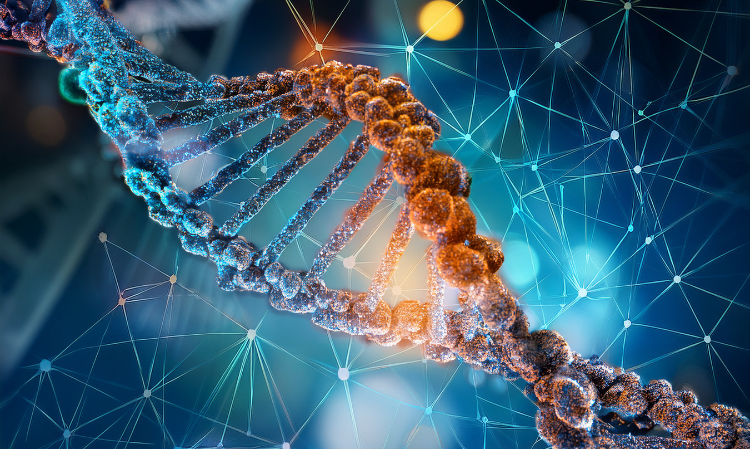 check-dna-child-not-biological-child