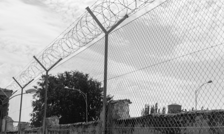 france-model-myanmar-scam-center-
