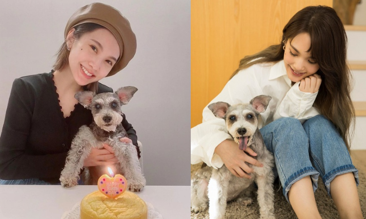 Rainie-Yang-new-family-member-