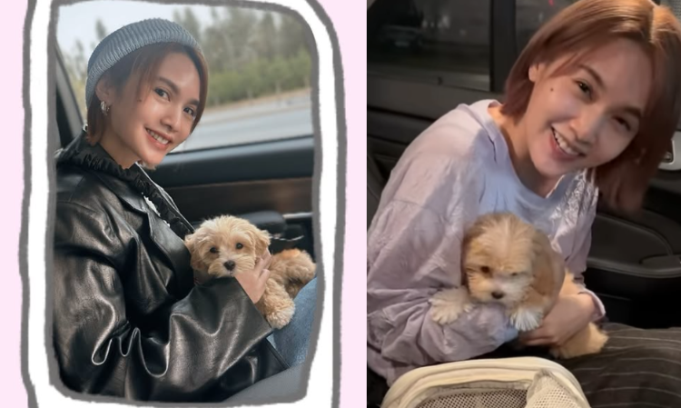 Rainie-Yang-new-family-member