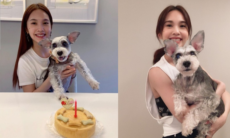 Rainie-Yang-new-family-member-