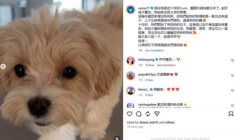 Rainie-Yang-new-family-member