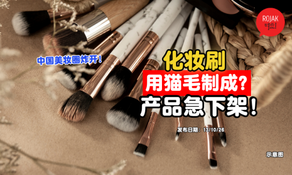 China-Makeup-Brushes-Cat-Hair